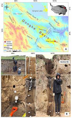 Holocene Aeolian Activity Recorded by Mountain Paleosols, Gonghe Basin, Northeast Qinghai-Tibet Plateau